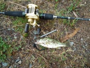 淡路島のバス釣り