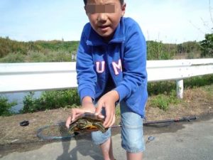 淡路島のバス釣り