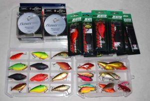 琵琶湖バス釣り