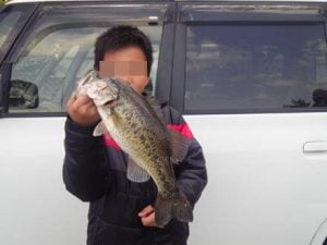 琵琶湖バス釣り