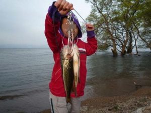 琵琶湖バス釣り