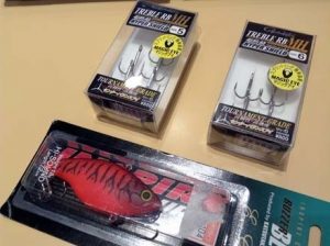 琵琶湖バス釣り