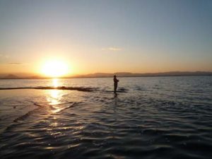 琵琶湖バス釣り