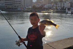 琵琶湖バス釣り