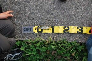 琵琶湖バス釣り