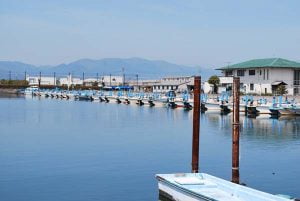 琵琶湖バス釣り