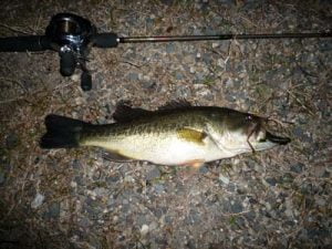 琵琶湖バス釣り