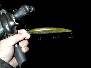 琵琶湖バス釣り