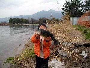 琵琶湖バス釣り