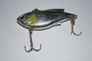 神戸でバス釣り