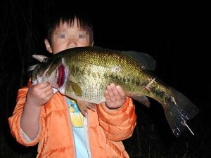 琵琶湖バス釣り