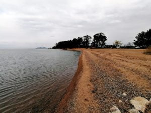 琵琶湖バス釣り