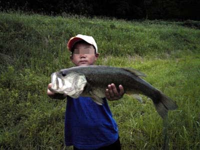 神戸でバス釣り