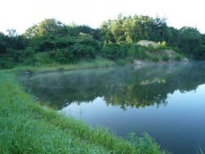 神戸でバス釣り