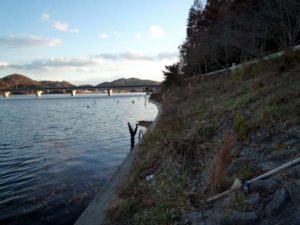 青野ダムバス釣り