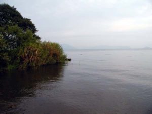 青野ダムバス釣り
