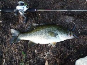 琵琶湖バス釣り