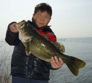 琵琶湖バス釣り