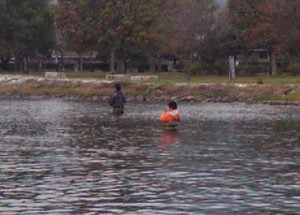 琵琶湖バス釣り