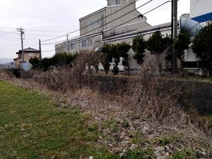 琵琶湖バス釣りポイント