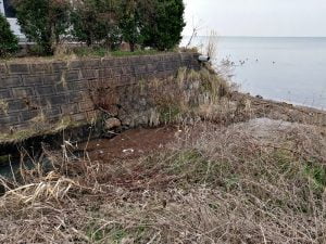 琵琶湖バス釣りポイント