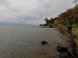 琵琶湖おかっぱりバス釣り