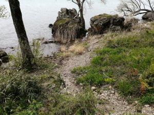琵琶湖おかっぱりバス釣り