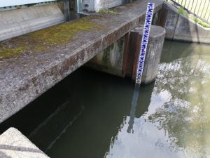 琵琶湖バス釣りポイント美崎公園