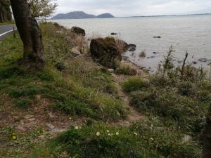 琵琶湖おかっぱりバス釣り