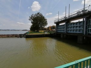 琵琶湖バス釣りポイント美崎公園