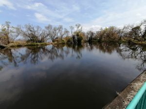 琵琶湖バス釣りポイント美崎公園