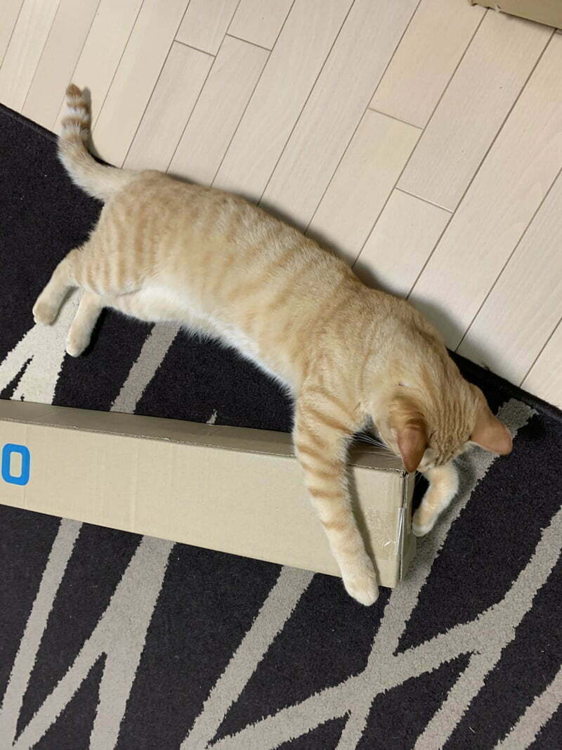 シマノ20スコーピオン 1752R-2 2ピースモデル