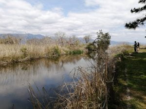 琵琶湖バス釣りポイント美崎公園