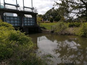 琵琶湖バス釣りポイント美崎公園