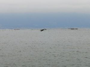 琵琶湖おかっぱりバス釣りポイント湖岸緑地吉川