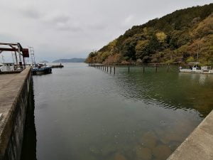 琵琶湖バス釣り堀切港