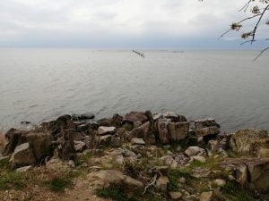 琵琶湖おかっぱりバス釣り