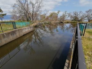 琵琶湖バス釣りポイント美崎公園