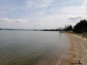 琵琶湖バス釣りポイント美崎公園