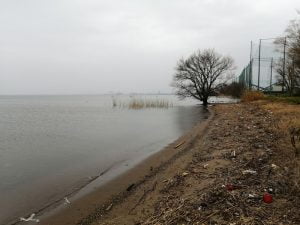 琵琶湖バス釣りポイント