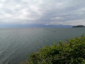 琵琶湖おかっぱりバス釣り