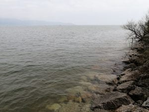 琵琶湖おかっぱりバス釣りポイント湖岸緑地吉川