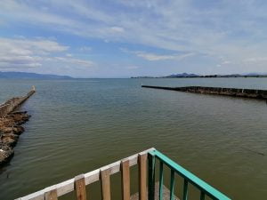 琵琶湖バス釣りポイント美崎公園