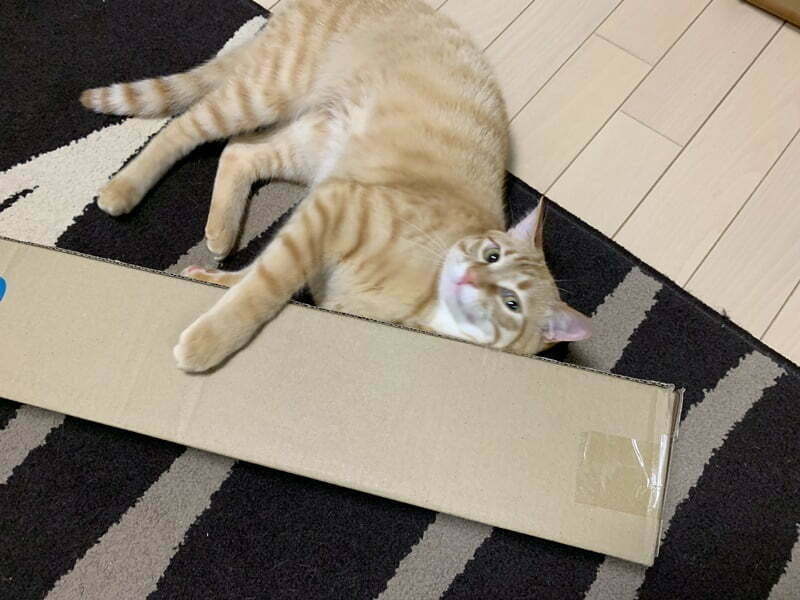 シマノ20スコーピオン 1752R-2 2ピースモデル