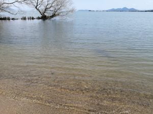 琵琶湖バス釣りポイント美崎公園