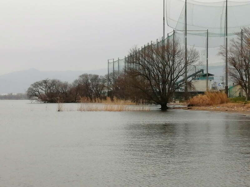 琵琶湖バス釣りポイント
