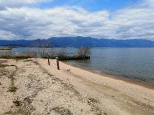 琵琶湖バス釣りポイント美崎公園