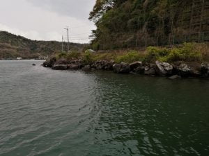 琵琶湖バス釣りポイント石切湾南の桟橋