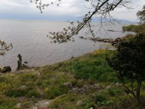 琵琶湖おかっぱりバス釣り