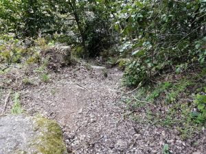 琵琶湖おかっぱりバス釣り